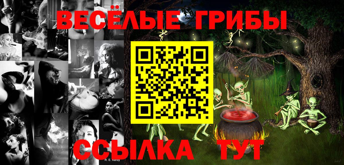 Великий Новгород  Псилоцибиновые грибы Cubensis  Вход с VPN 